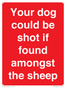 your-dog-could-be-shot-if-found-amongst-the-sheep~